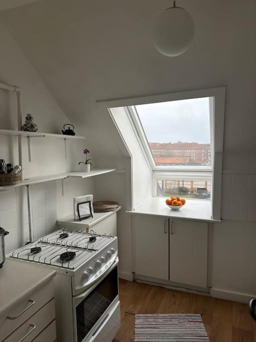 Lejlighed Elegant With Penthouse View In Cph København