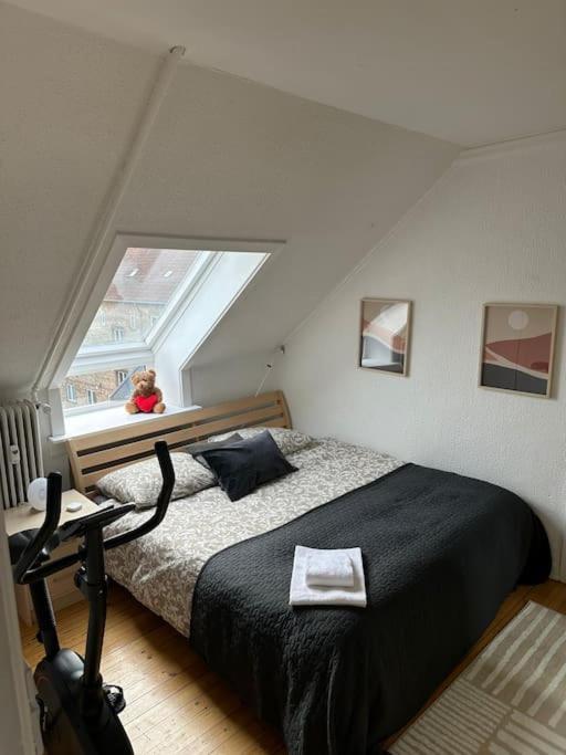 Elegant With Penthouse View In Cph * København