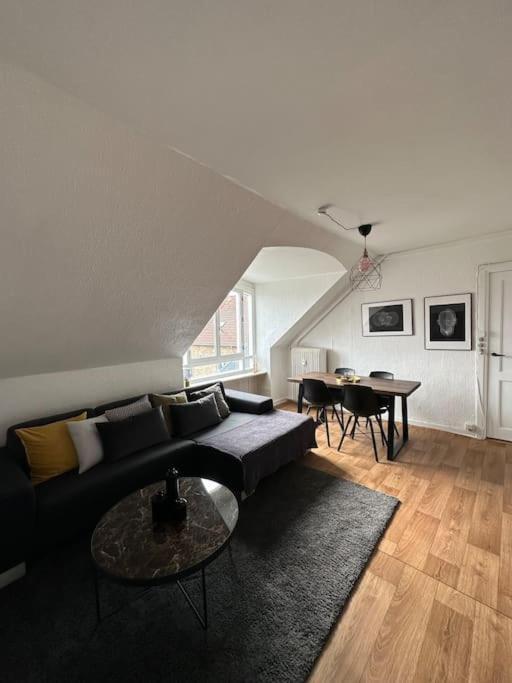 Lejlighed Elegant With Penthouse View In Cph *